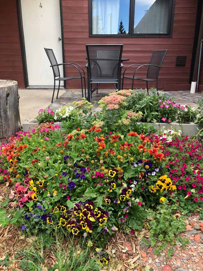 Bear Country Inn — photo 21