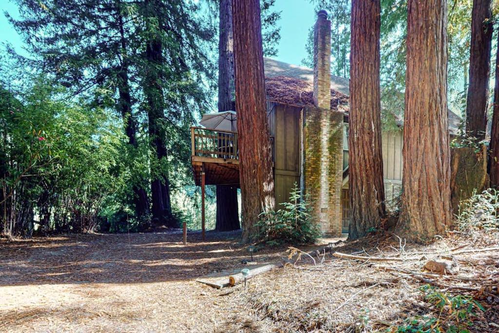 Redwood Lodge Motel — photo 24
