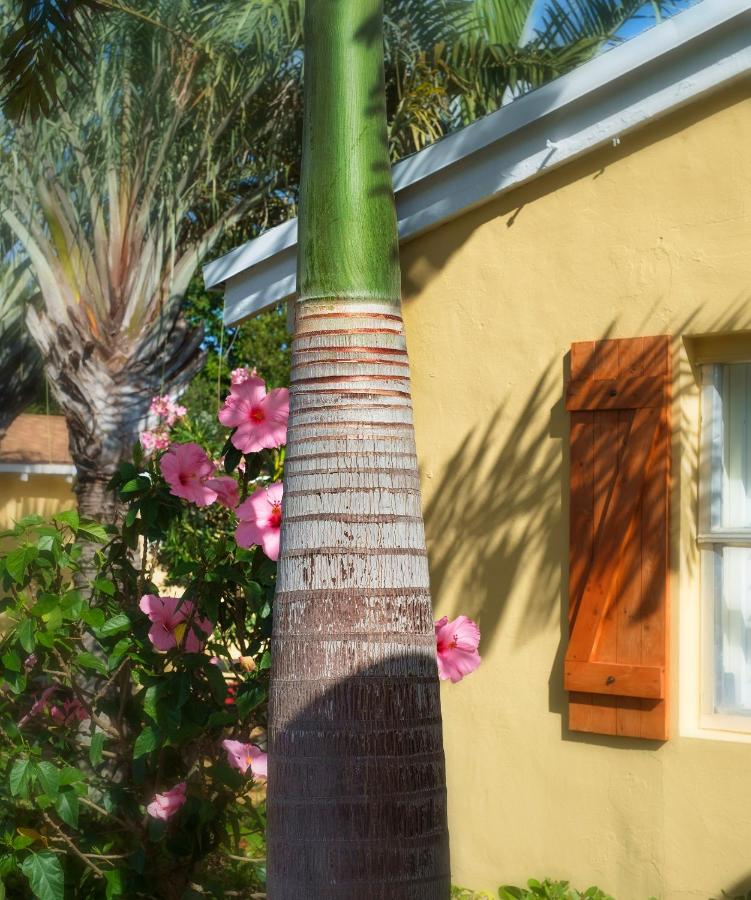 Atlantic Hideaway — photo 11
