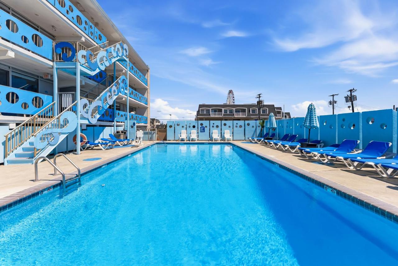 Ocean 7 — photo 10