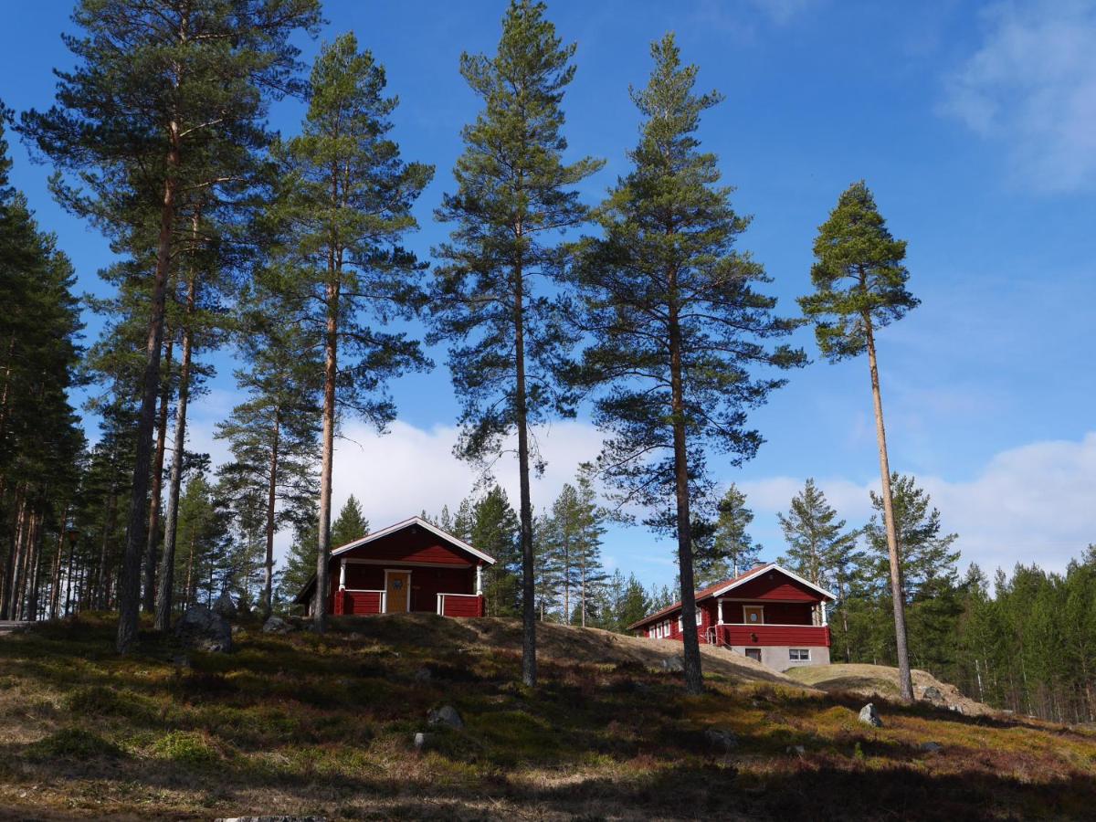 Korty tenisowe: Hotell Moskogen