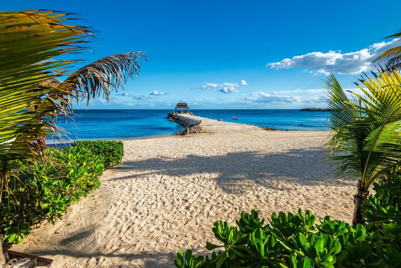 Hotel Marina El Cid Spa & Beach Resort - All Inclusive photo