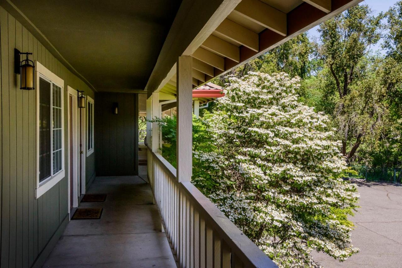 The Jack London Lodge — photo 13