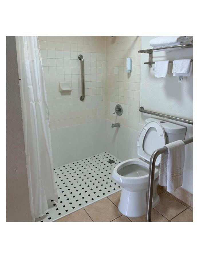 Tampa Lodge — photo 10