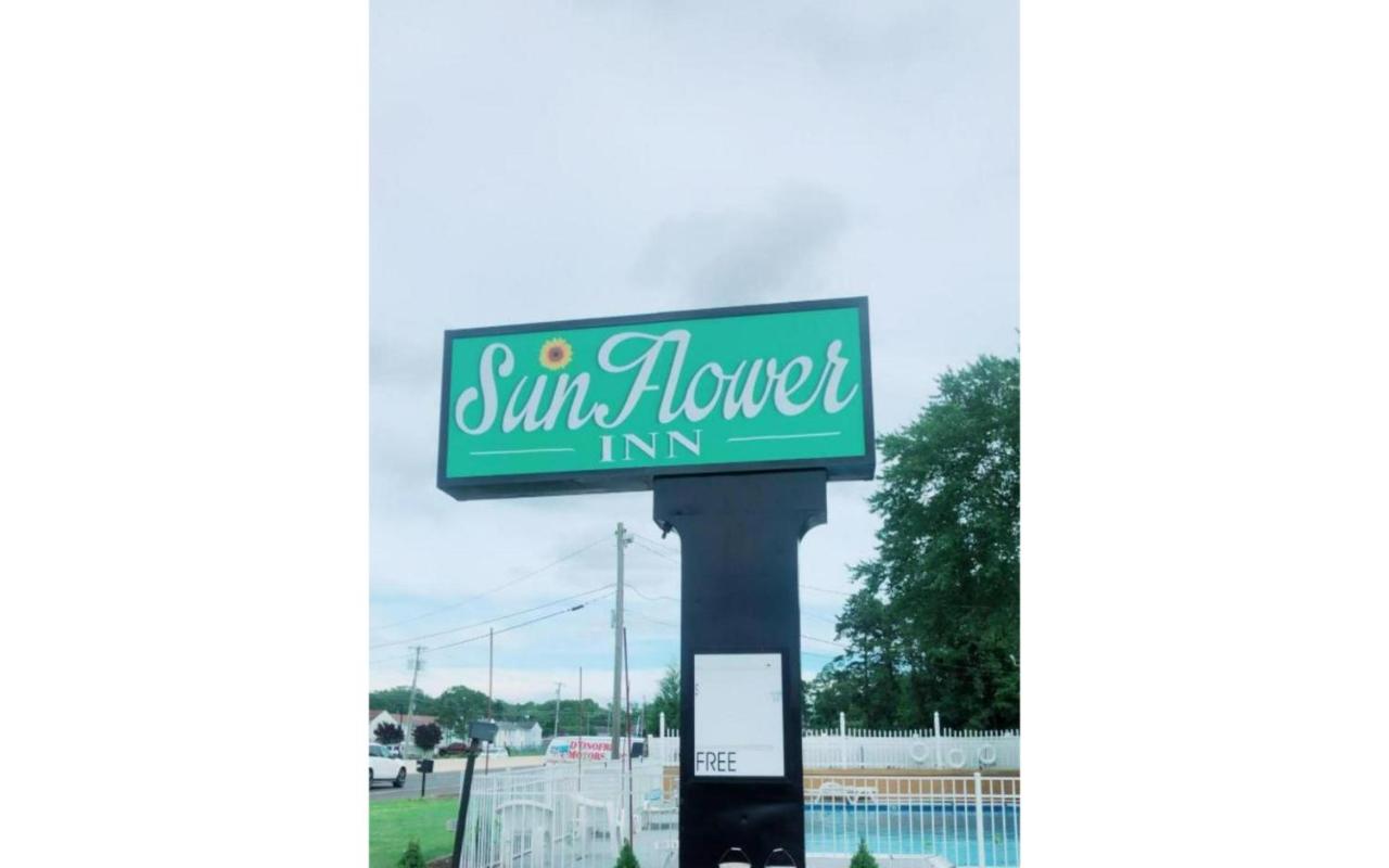 sunflower inn — photo 18
