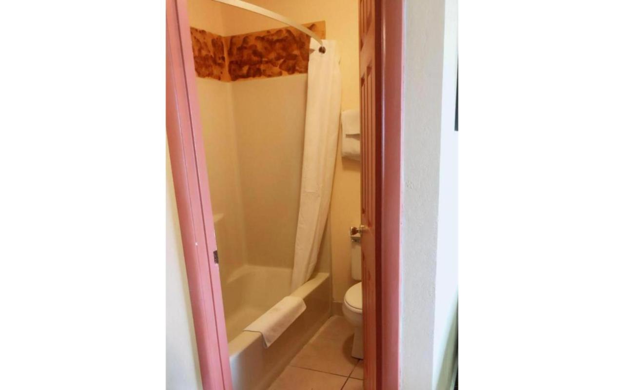 sunflower inn — photo 3