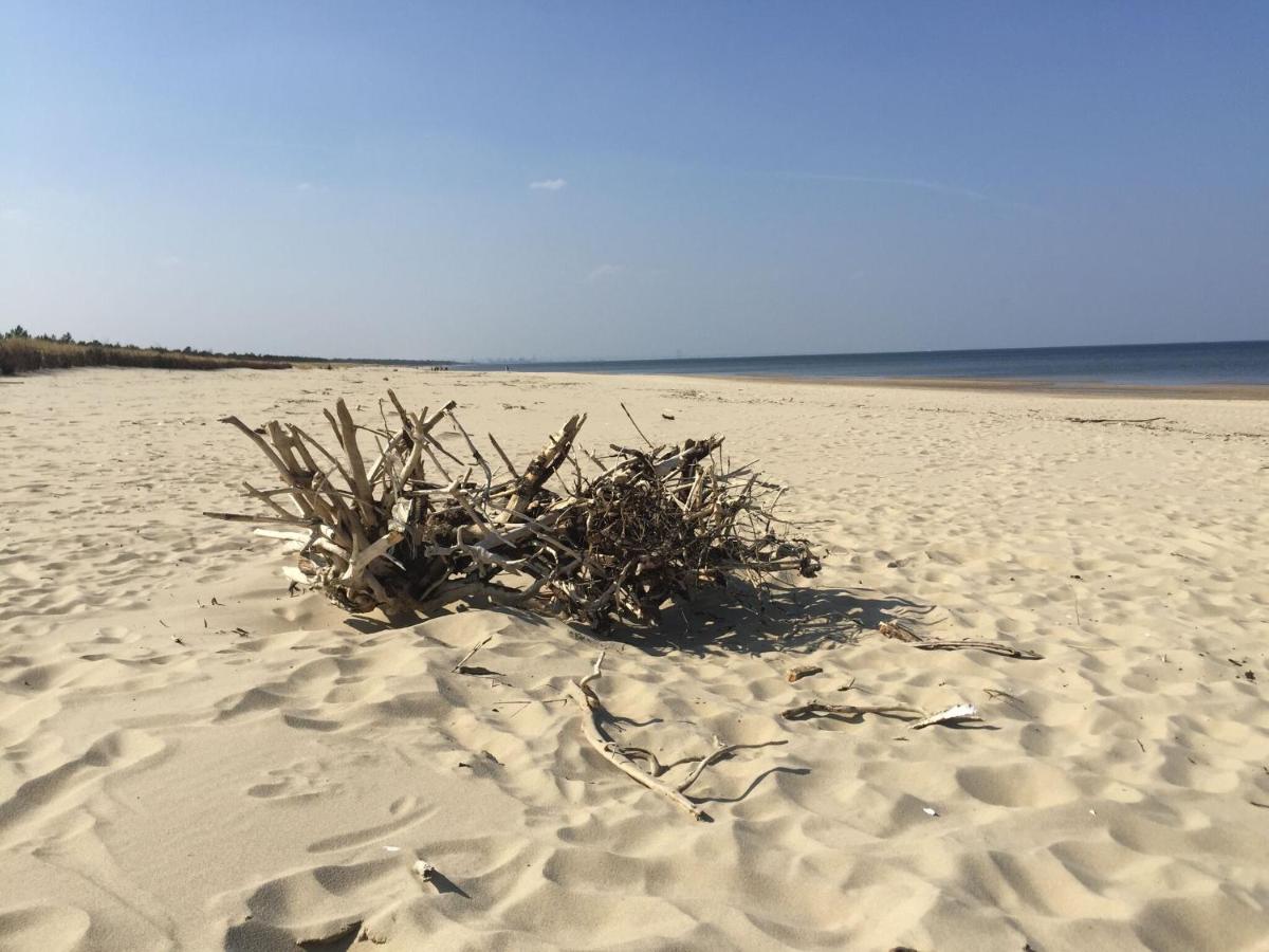 Beach: Bajkowa Plaża - Muszelka
