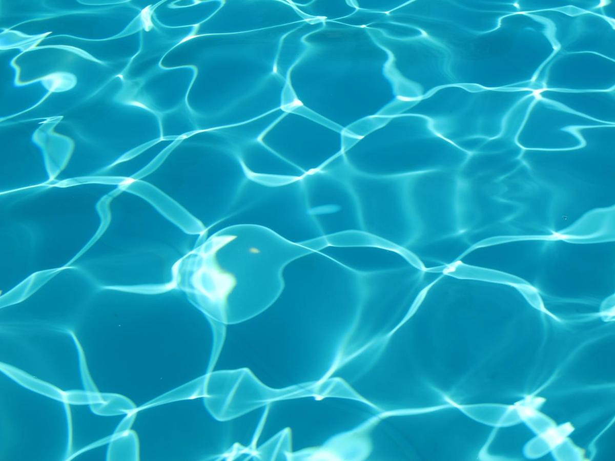 Villa Campestri Olive Oil Resort - 4