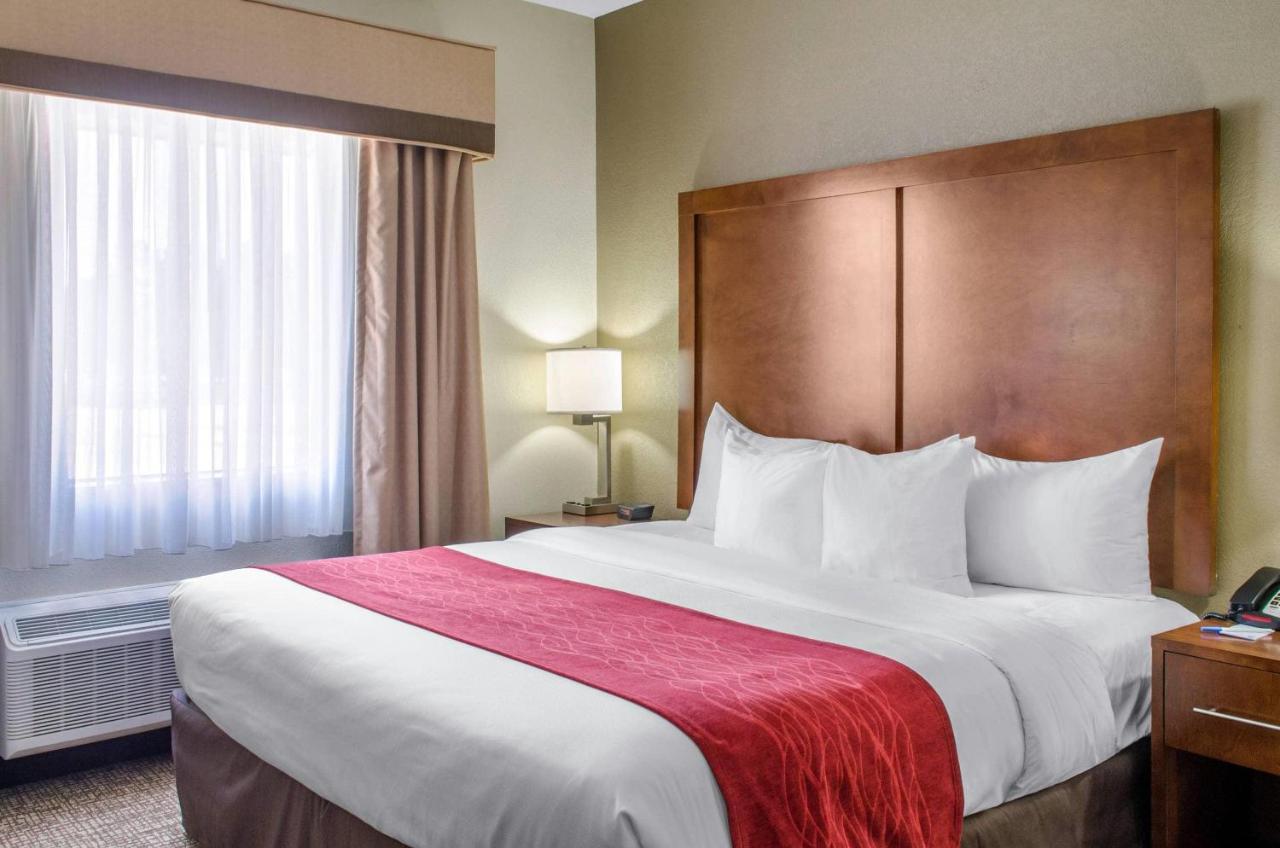 Compare Inn & Suites — photo 22
