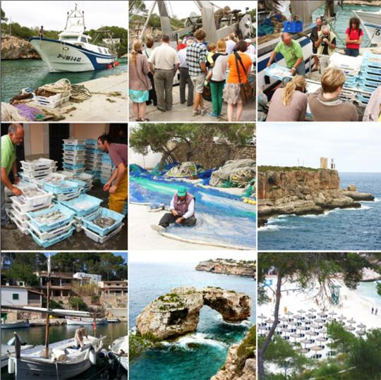 Residencia Santiago Mallorca - 2