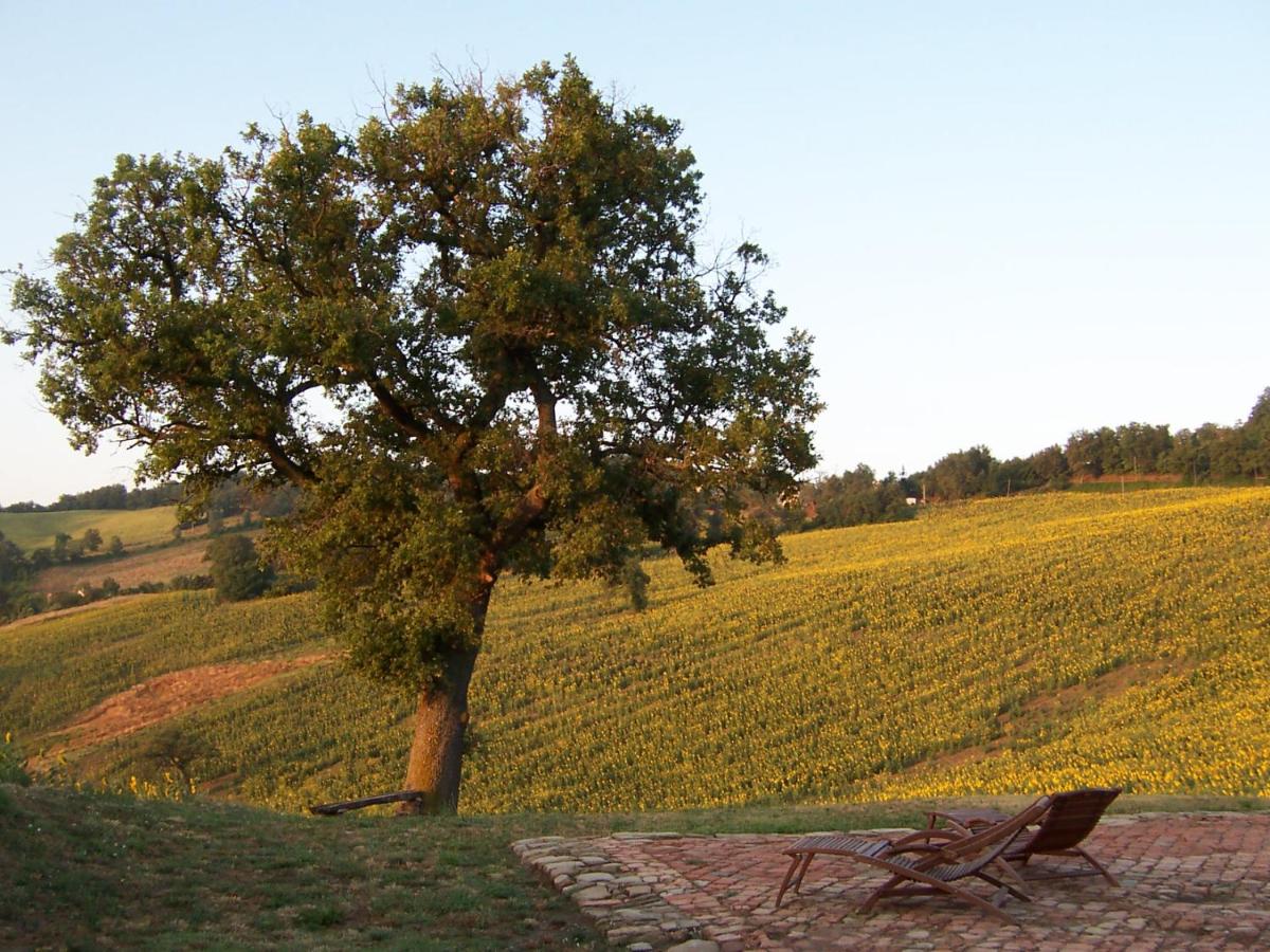 Podere Del Fagiano photo