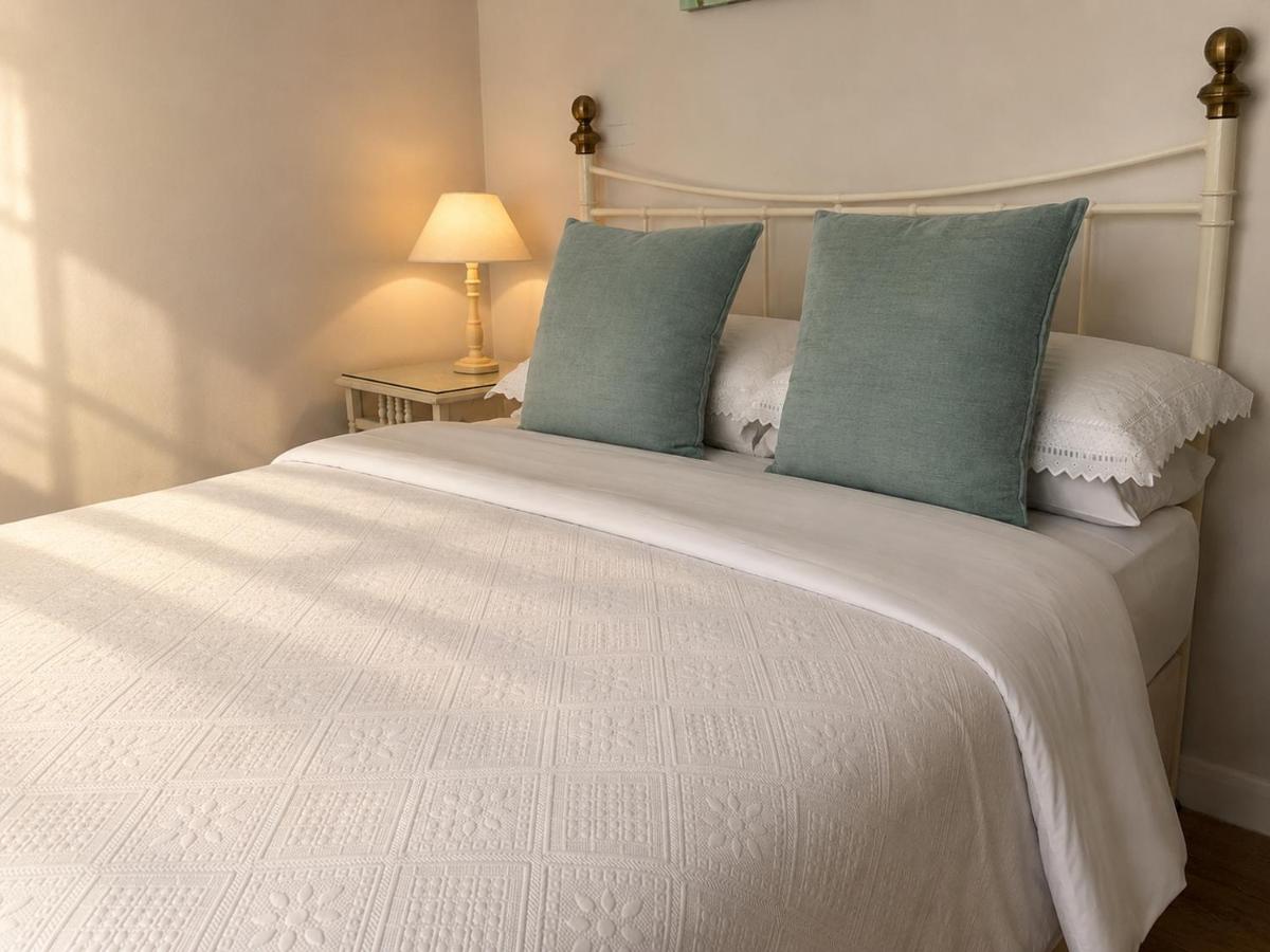 Single Room (dogs welcome)