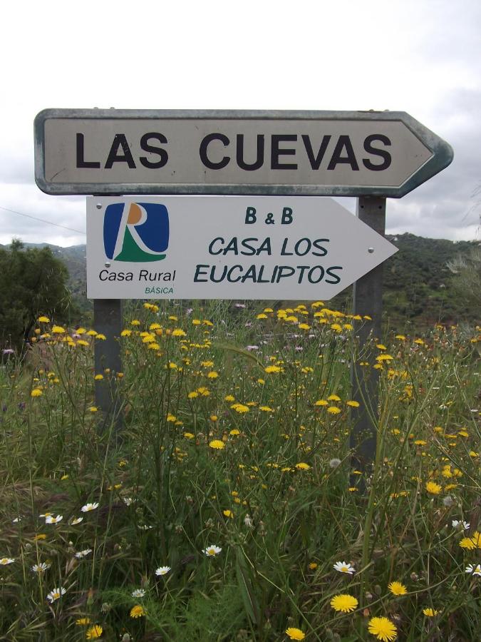 Bed and Breakfast Casa los Eucaliptos (España Comares ...