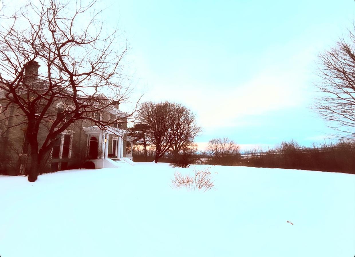 The New York House Bed & Breakfast — photo 22