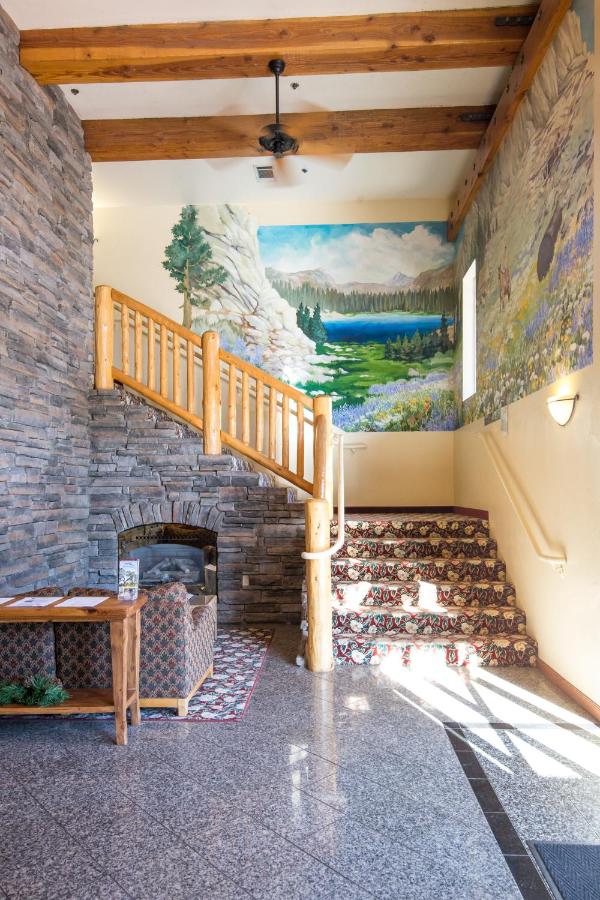 Murphys Suites — photo 8