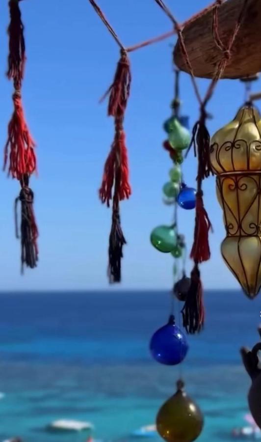 Image: Coral Private Harem
