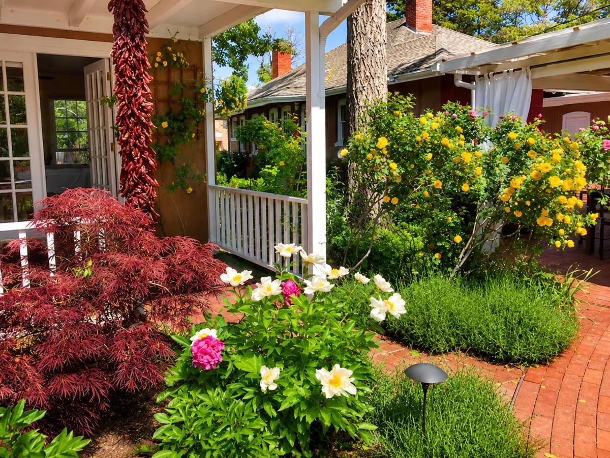 Casa Culinaria - The Gourmet Inn — photo 8