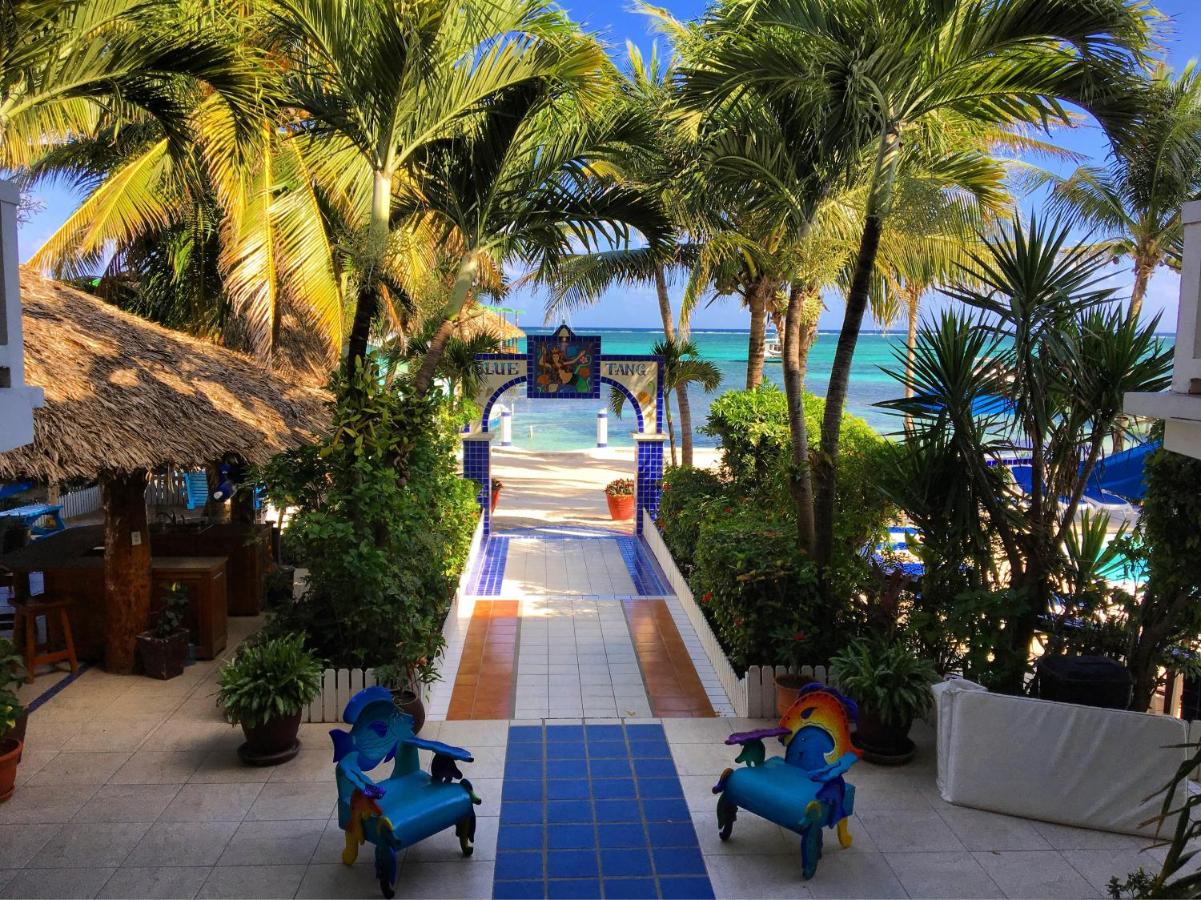 Image: Blue Tang Inn - Beachfront Suites and Pool