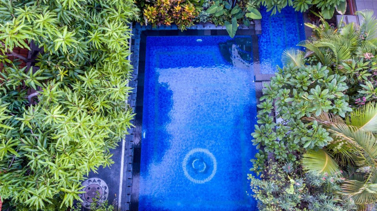 Losmen Cempaka 3 - 4