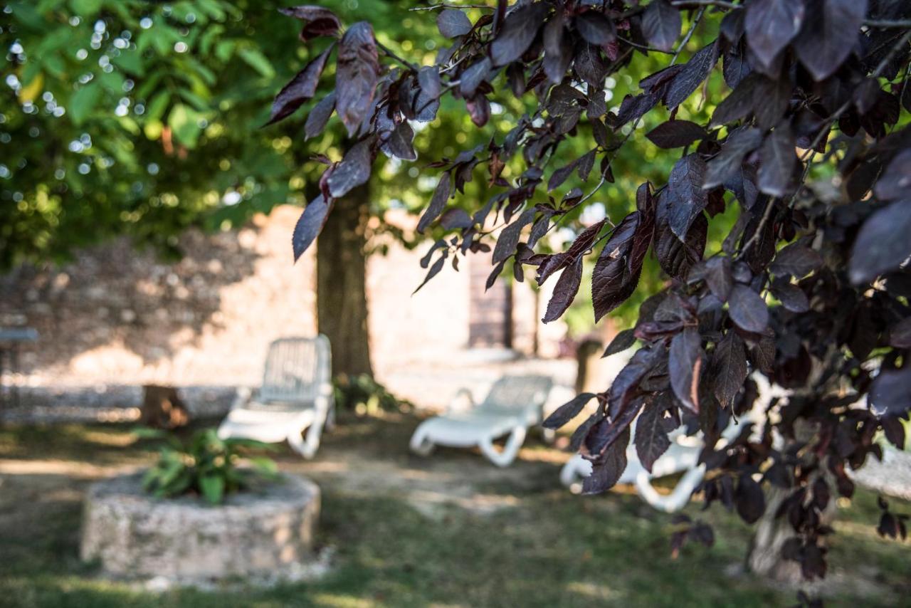 Agriturismo Corte Ruffoni photo