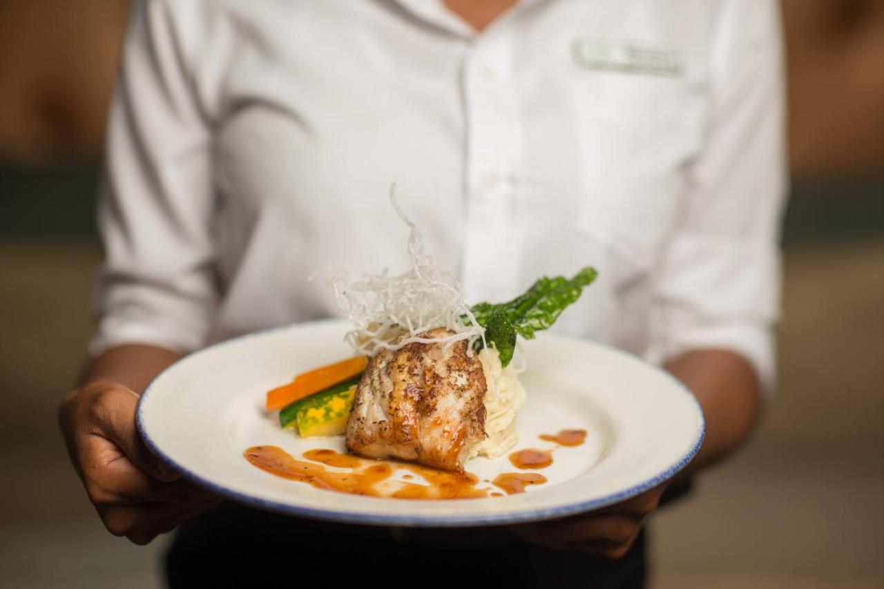 Deja Resort All Inclusive - 3