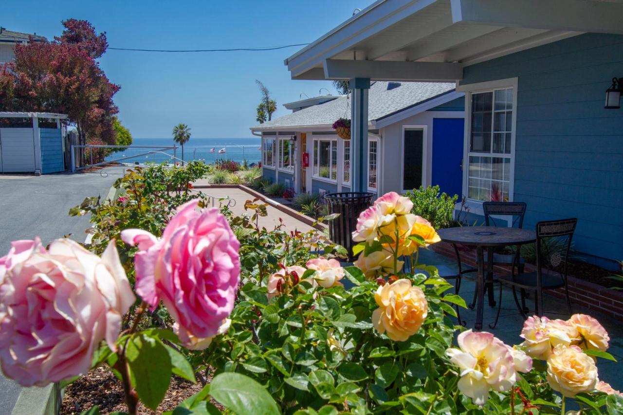 Edgewater Beach Inn — photo 7