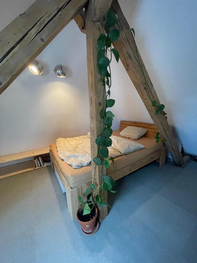 Lichtdurchflutetes Studio in Isarnähe