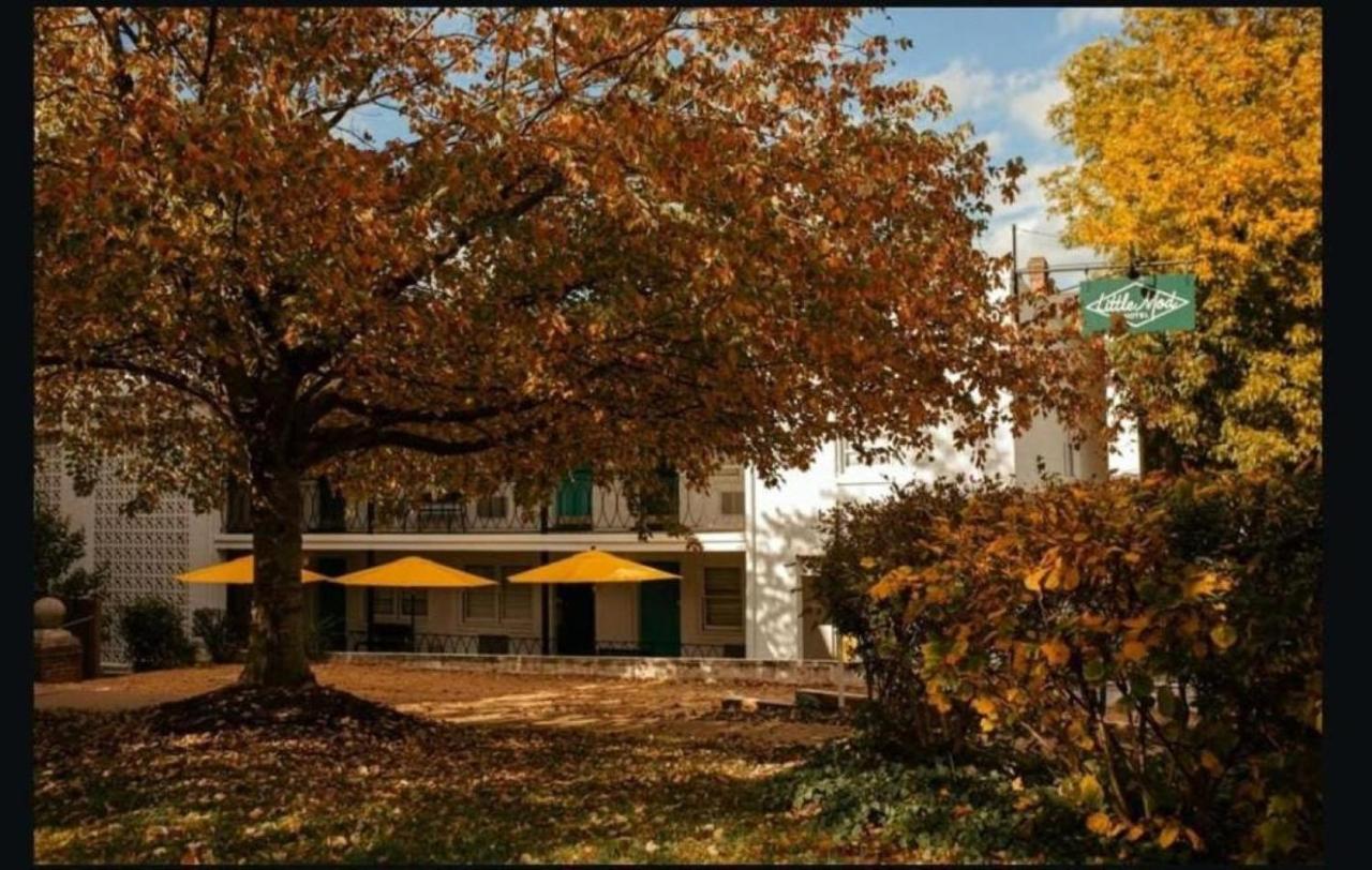 Little Mod Hotel at the University — photo 9
