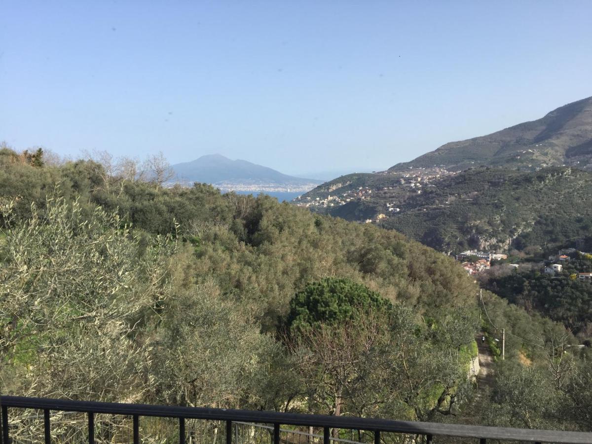Il Casale Del Mirto photo