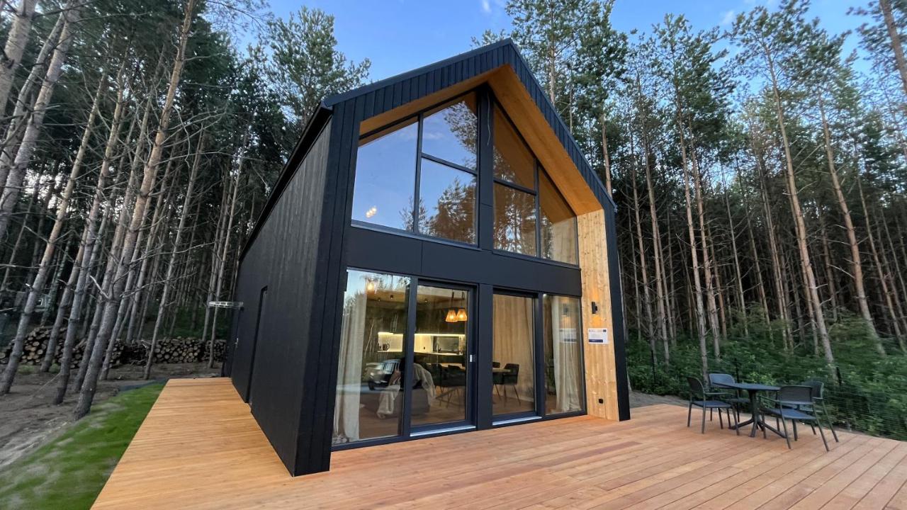 Nowoczesny dom z przeszklonymi ścianami wśród sosen