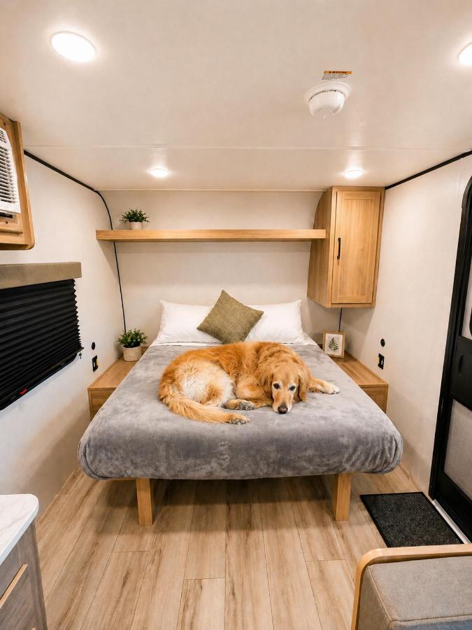 Grand Canyon RV Glamping — photo 11