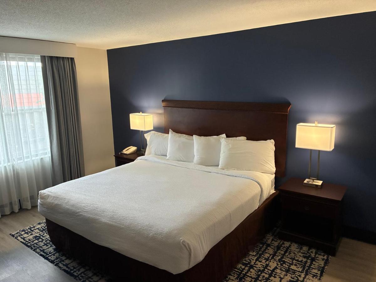 Euro-Suites Hotel — photo 8
