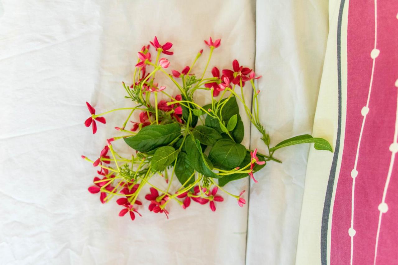 Blue Lagoon Villa - 4