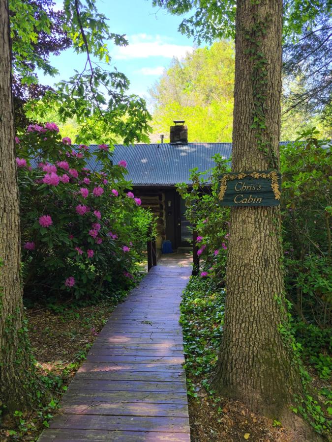 Asheville Cabins of Willow Winds — photo 7