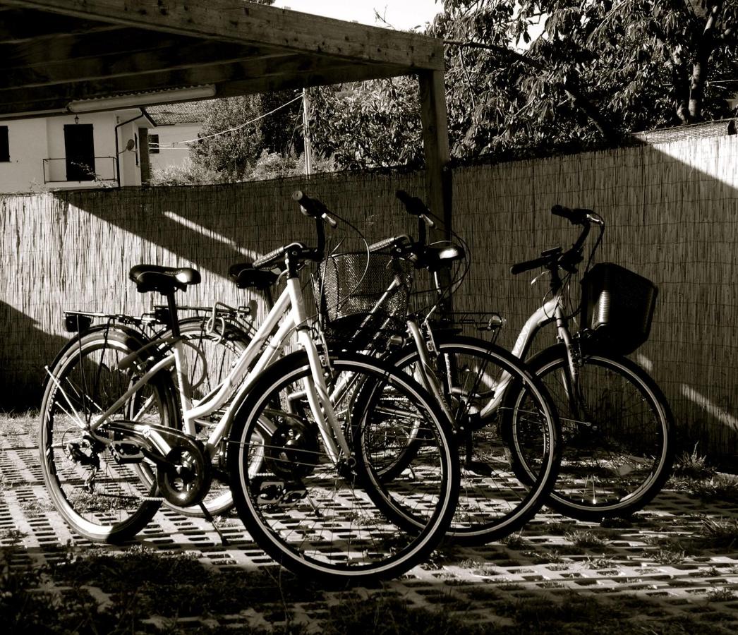 B&B VillaRocca da Ines e Perizia - 5