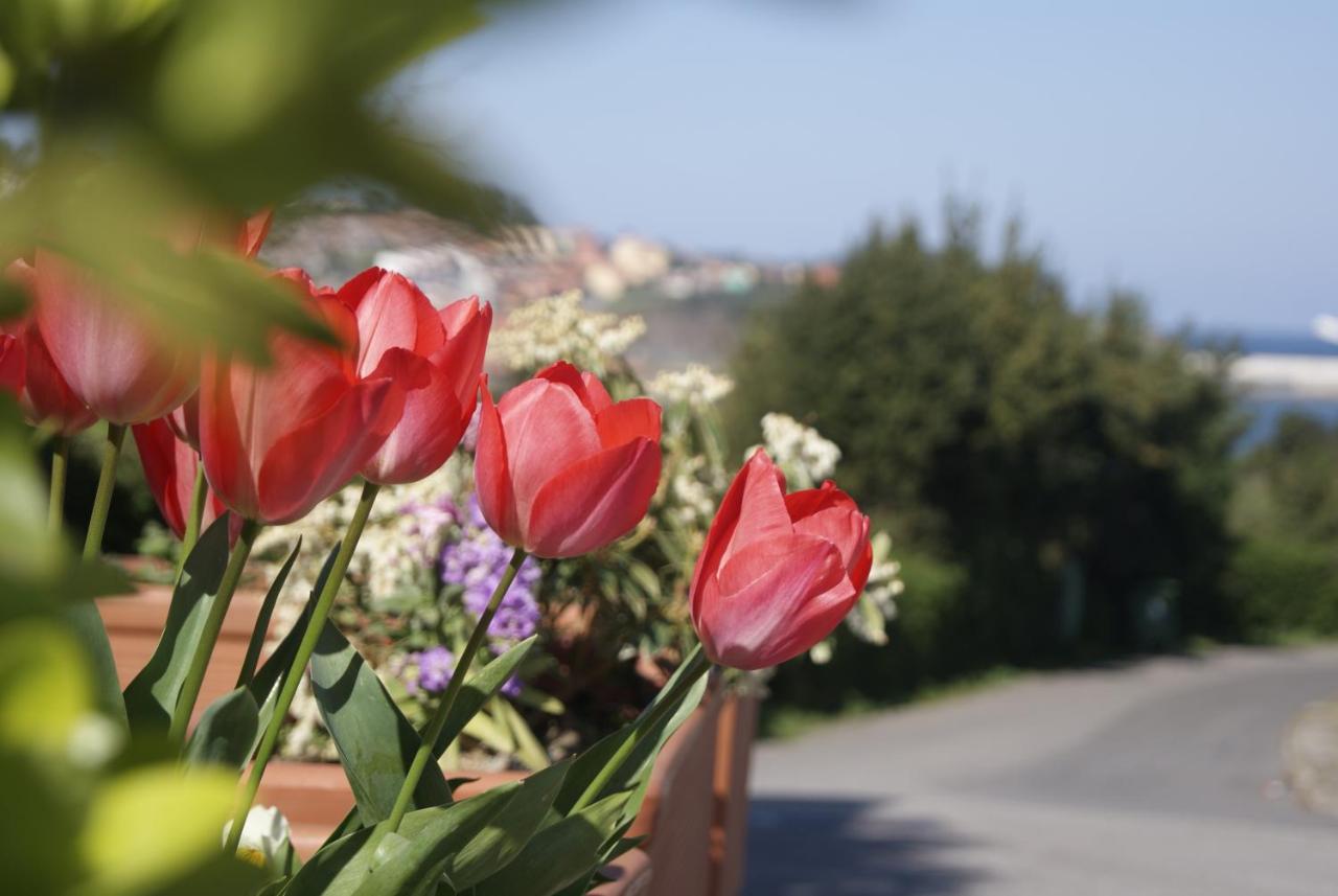 Hotel Los Laureles, Luanco, Spain - Booking.com