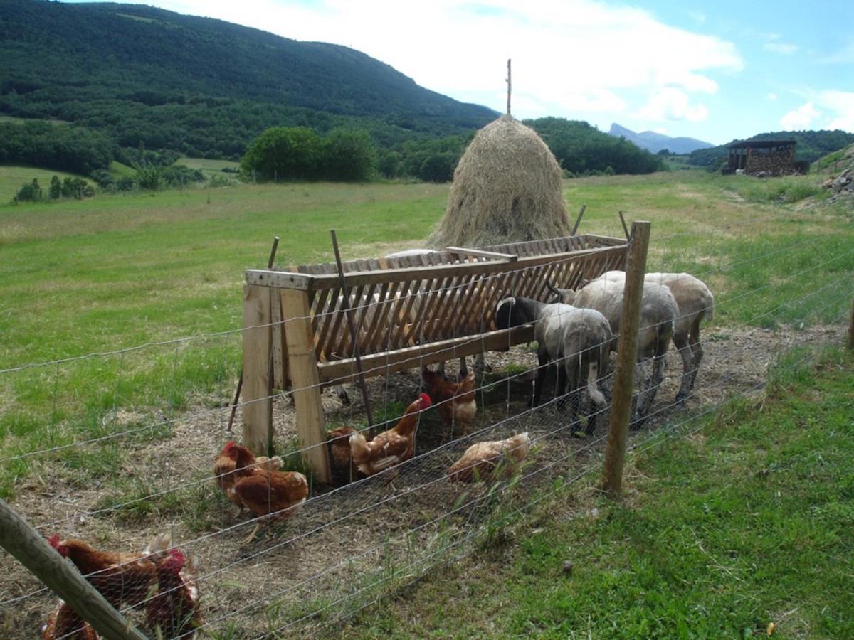 Vakantiehuis LEstisora de Casa Hereu (Spanje Montcortes ...