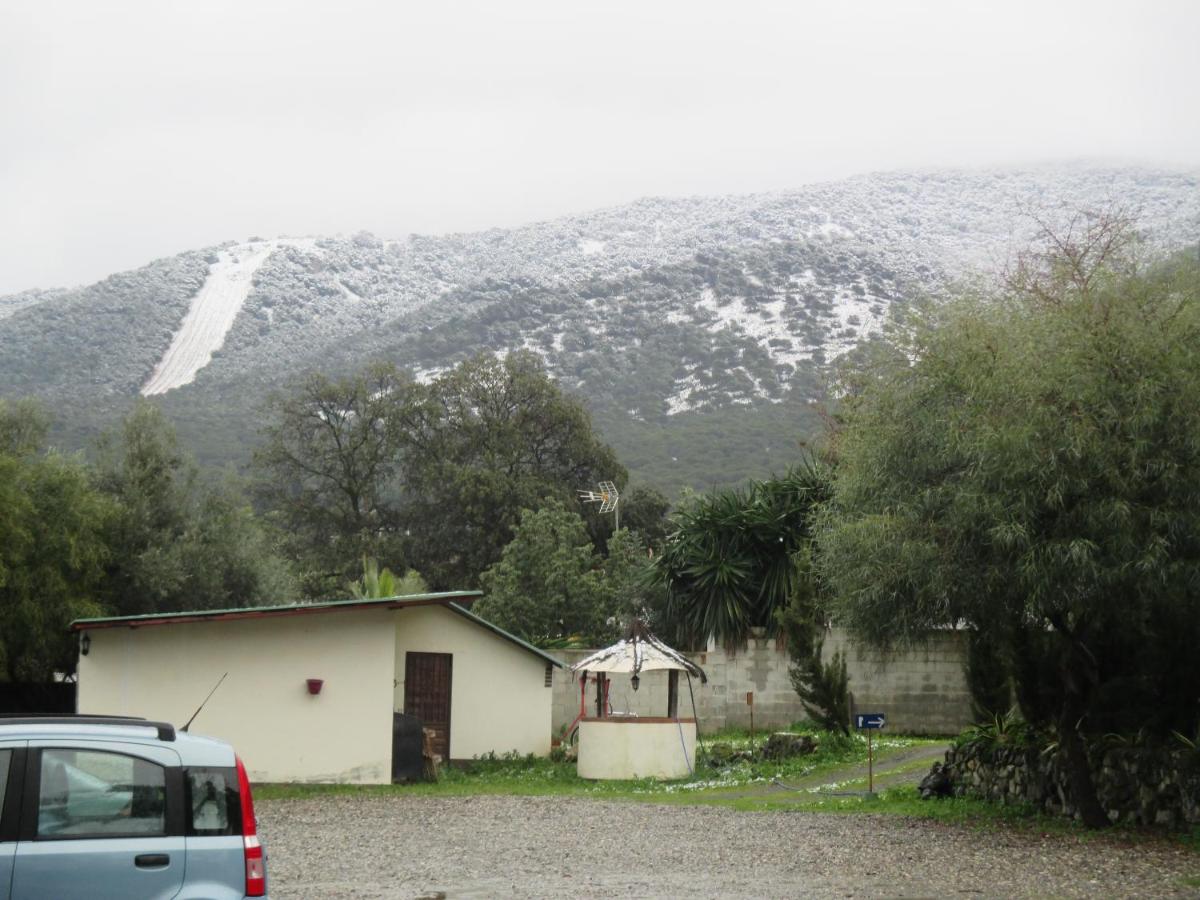Finca la Mota, Alhaurín el Grande – Updated 2022 Prices