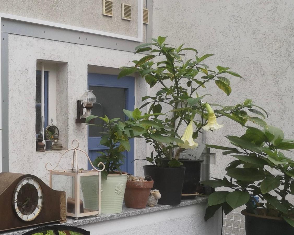 Gemütliche, möblierte Einliegerwohnung mit eigenem Eingang in Hannover