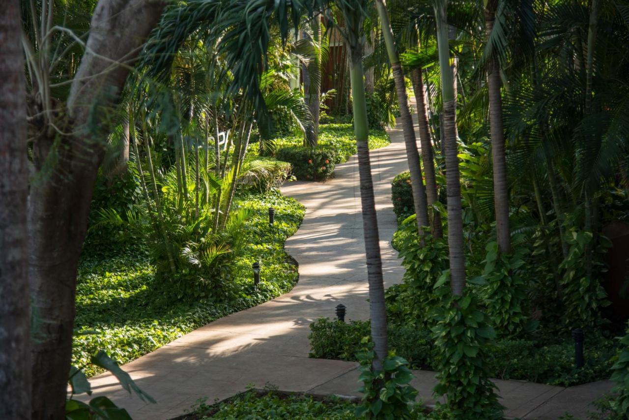 Occidental Tamarindo - All Inclusive photo
