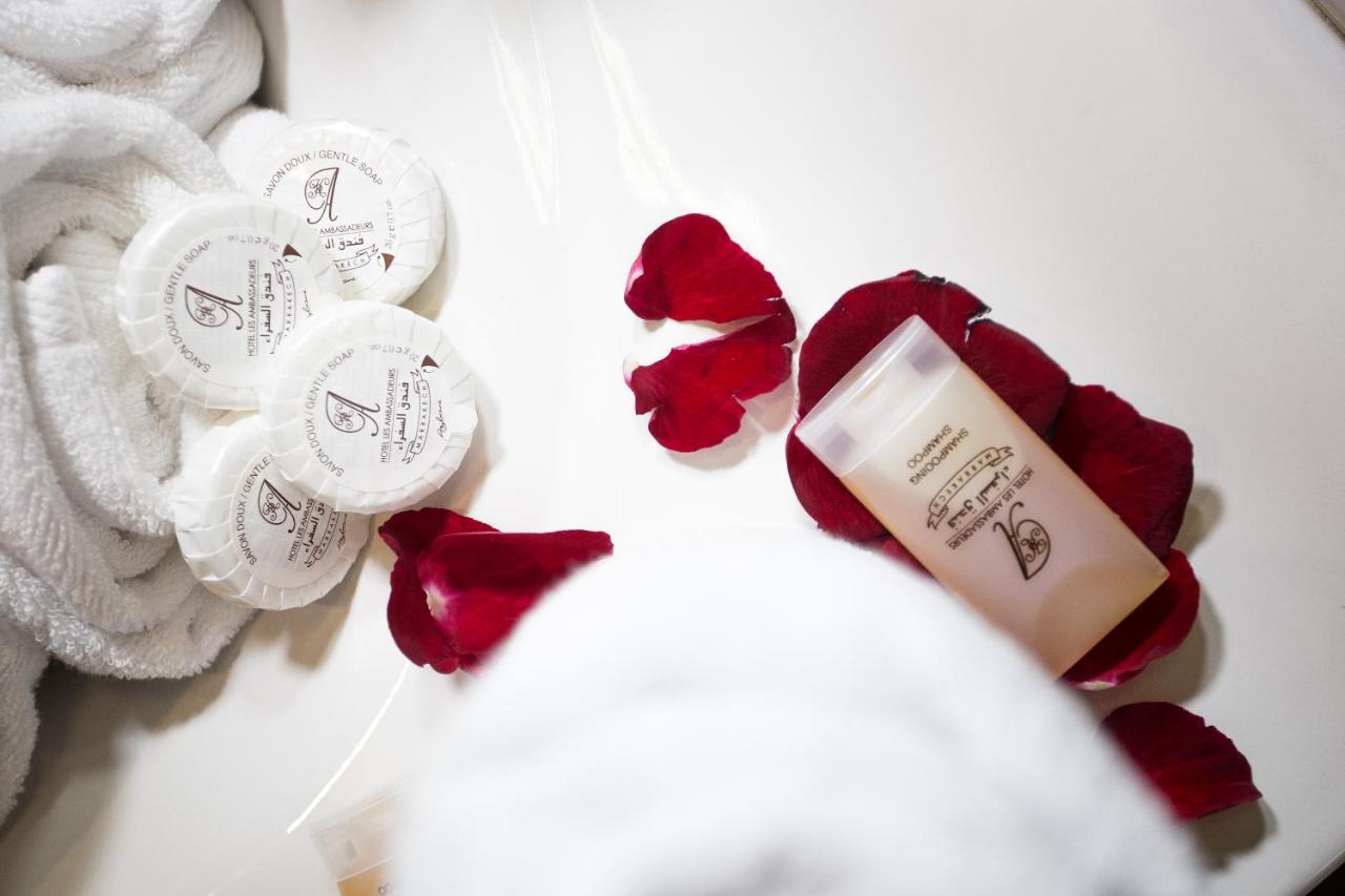 Appart Hotel Les Ambassadeurs - 3