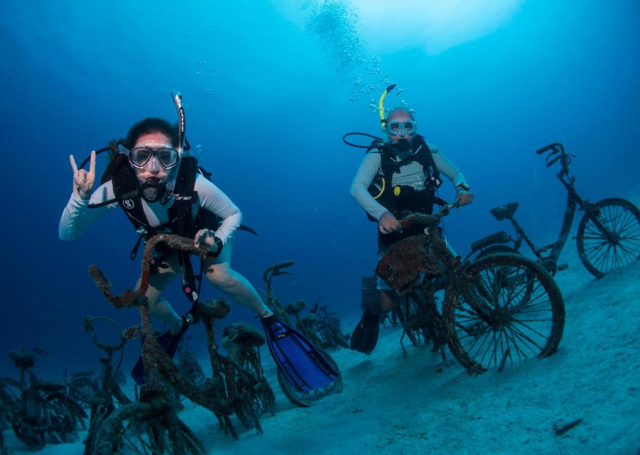 TME Retreats Dhigurah - 3