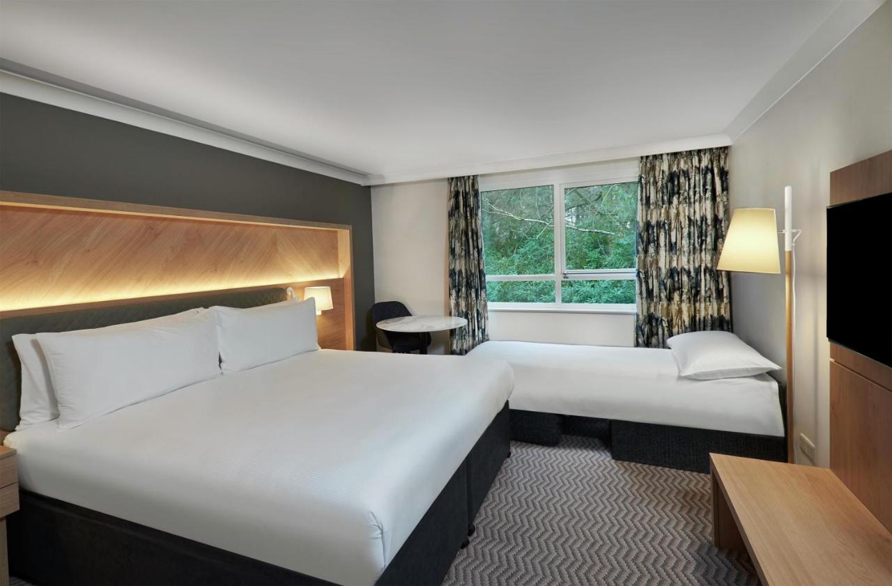 Deluxe King Room with Single Sofa Bed