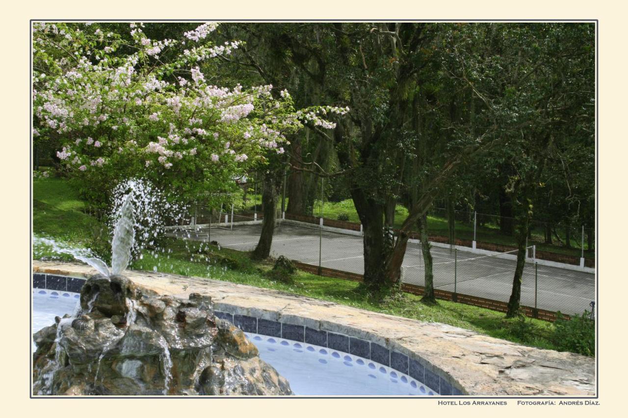 Tennis court: Hotel Campestre Los Arrayanes