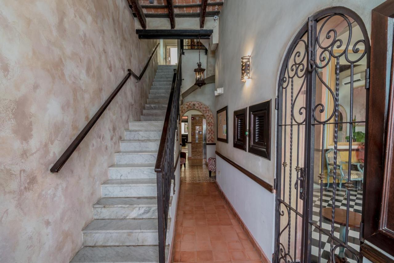 La Terraza de San Juan - 5