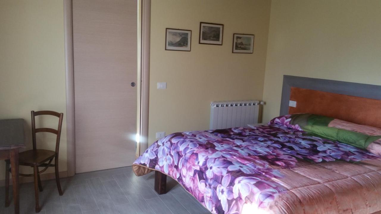 Ulivo Della Querce - 2