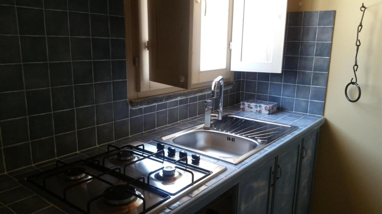 Ulivo Della Querce - 3