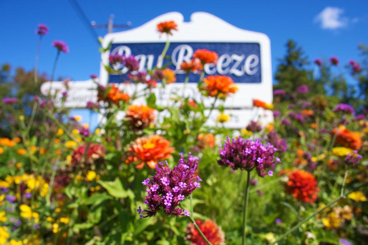 Bay Breeze Resort Motel — photo 8