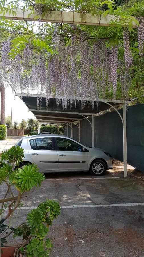 Hotel Mediterraneo photo
