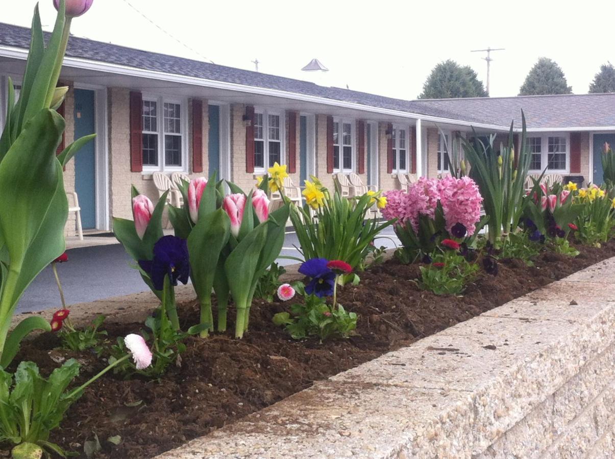 Travelers Motel — photo 19